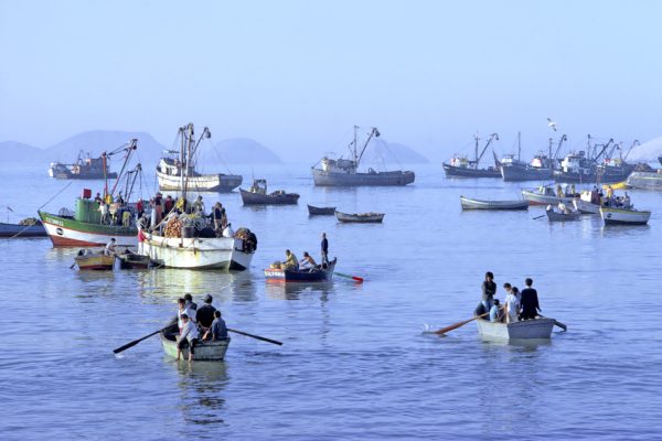 Peru. Chimbote. Ferrying fish catch from fishing boats to beach by canoe.